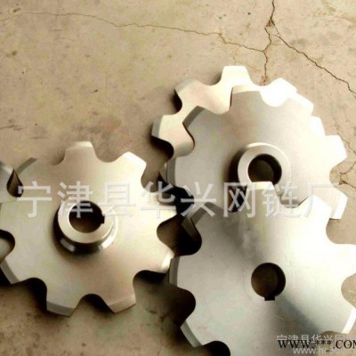 山東鏈輪規格 鏈條傳動橡膠鏈輪 工業輸送雙排鏈輪加工