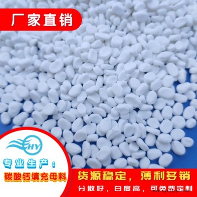 廣東浩洋 PP注塑填充母料生產廠家 母料批發