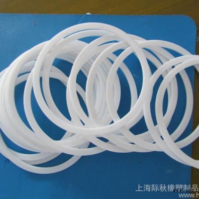 供應際秋10*300四氟O型圈 PTFE-O RING