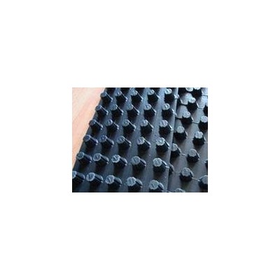 中齊齊全張掖市HDPE排水板生產廠家 現貨批發 全國直銷 張掖市HDPE排水板廠家