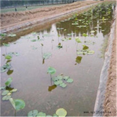牙克石hdpe土工膜生產廠家