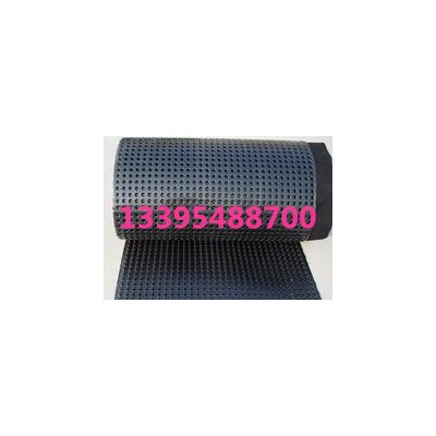 西湖HDPE排水板生產廠家 全國直銷 批發代理 現貨供應
