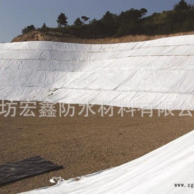 HDPE土工膜 直銷(xiāo) 防水材料采購(gòu) 歡迎來(lái)電咨詢(xún)