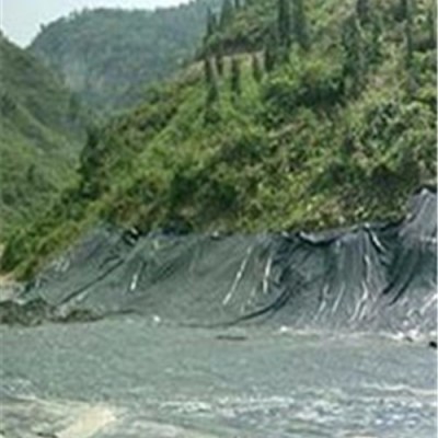 中齊  hdpe土工膜  生產廠家 現貨 銷售