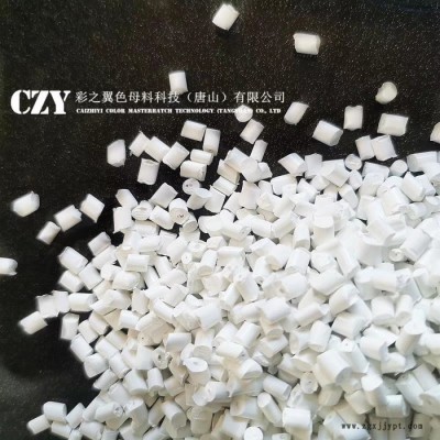 免費檢測 白色母生產廠家 PP餐盒用白色母