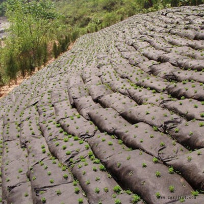 森泰生態袋 植生帶 pp生態袋 生態袋廠家