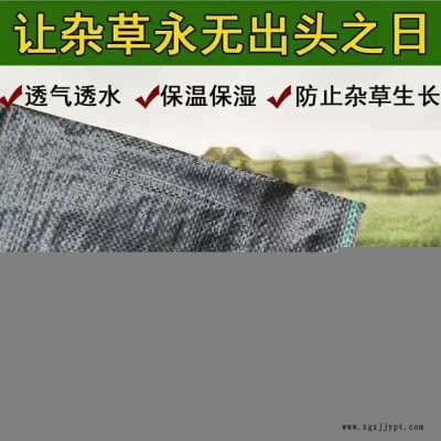 禾鵬 園藝地布黑色防草布廠家經銷PP防草布