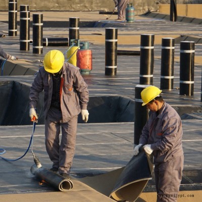 pet自粘防水卷材生產廠家