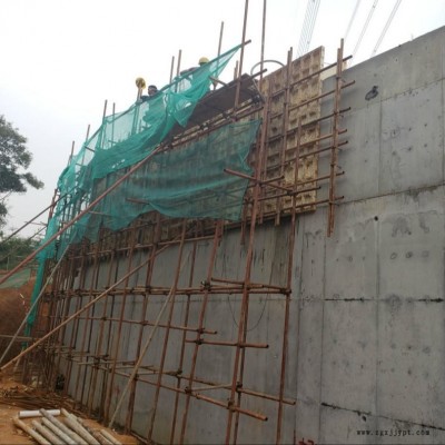 建筑塑料模板專業廠家 密肋建筑模板  pp覆膜板建筑塑料模板