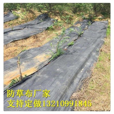 園藝地布廠家，果園園林防草布 室內花盆擺放地布 廠家質量好價格合理