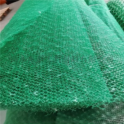 加工定制三維植被網護坡綠化固土三維網植被網