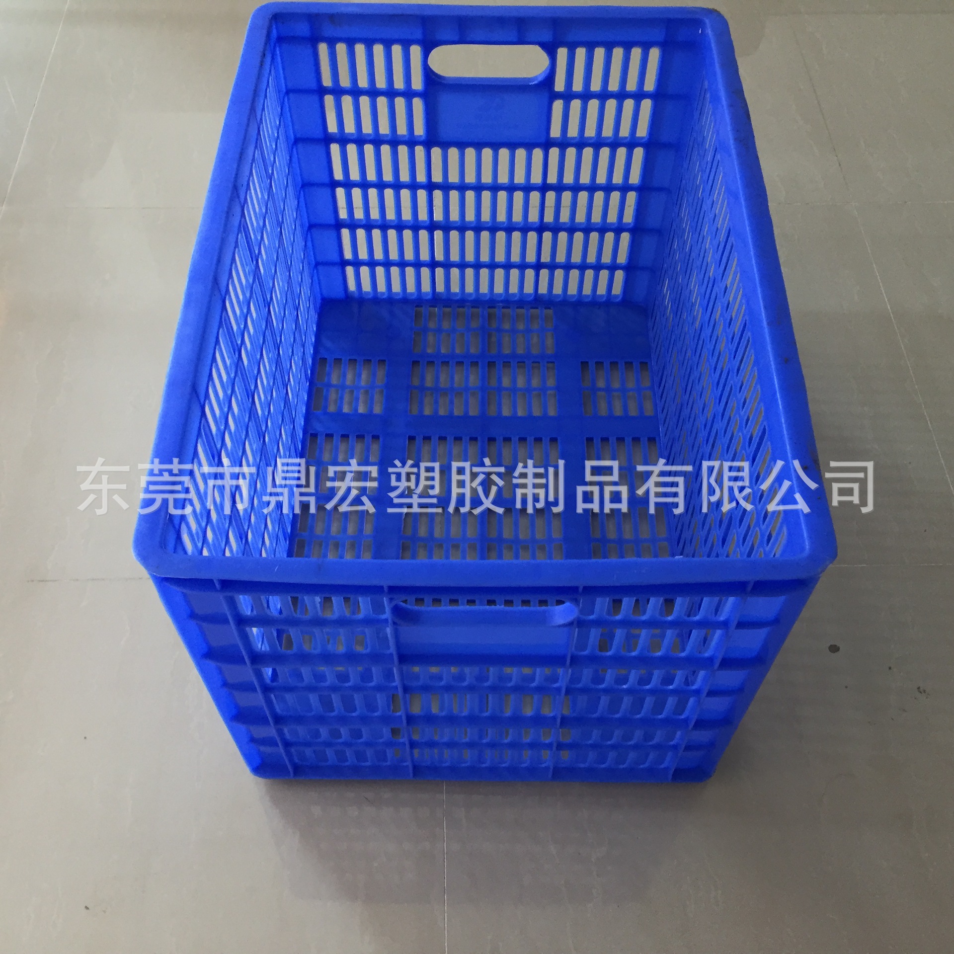 B4號蘿 (3)