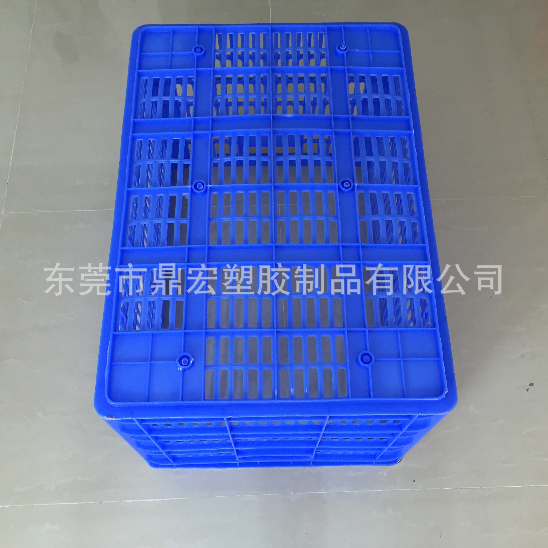 B4號蘿 (1)