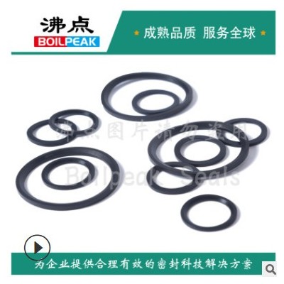 氟膠ED圈 G1/2A 斜角平墊 德標DIN3869-21-FKM 50.4*56.7*2