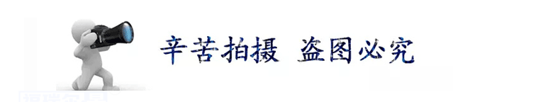 尼龍?zhí)准庸ざㄗ?MC耐磨含油尼龍?zhí)?PA6尼龍?zhí)啄猃埶芰蠙C(jī)械用軸套示例圖3