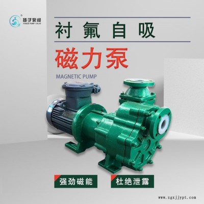 臥式防爆自吸磁力泵 塑料自吸式磁力泵 襯氟 F46 PFA材質