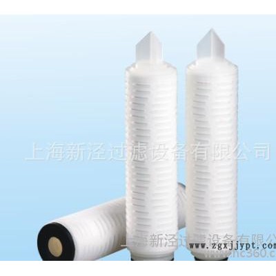 PES折疊濾芯，進口品質(zhì)，精密過濾芯，水過濾