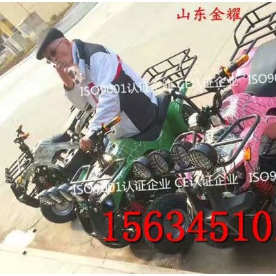 景區農場游樂卡丁車 大型卡丁車 越野卡丁車 動力強悍越野輪胎