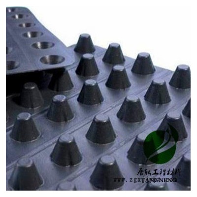 廠家出售排水板 施工方便維護(hù)簡單切經(jīng)濟(jì) 價(jià)格實(shí)惠 排水板