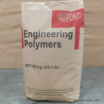 PA66   杜邦 Zytel PA66 FG133F1 NC010 食品級，脫模劑