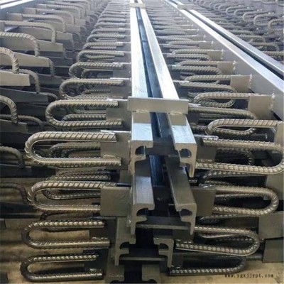 公路40型伸縮縫-巴彥淖爾40型伸縮縫-晟聚橡塑經銷處