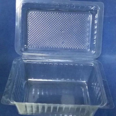PET水果包裝盒、PET透明蔬菜包裝盒 廣舟吸塑包裝專業定制果蔬吸塑