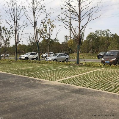 新型生態停車場 高承載植草地坪 中創華美