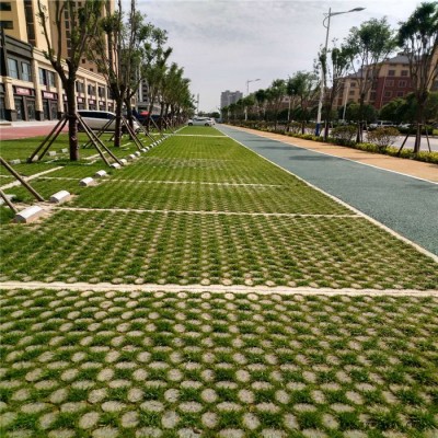 戶外綠色停車場 高承載植草地坪 中創華美