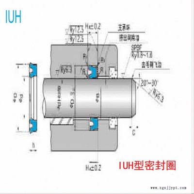 NOK密封件IUH型 密封圈 耐磨損 機械活塞桿油封