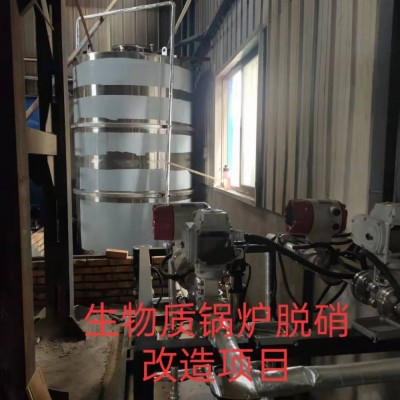生物質鍋爐脫硝系統 脫硝催化劑 脫硝方案 脫硝裝置巨浪