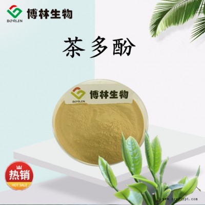 茶多酚40% 綠茶提取物  茶多酚抗氧化劑  食品級 植物提取物 現貨包郵
