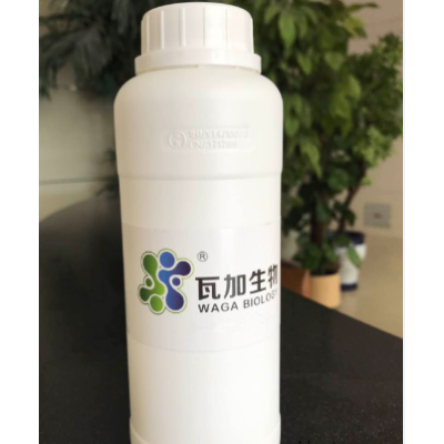 天津粉末涂料抗菌劑 客戶至上 上海瓦加生物科技供應