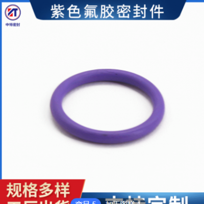紫色氟膠密封件密封圈 廠家供應密封圈 耐油溫耐磨O型圈FKM