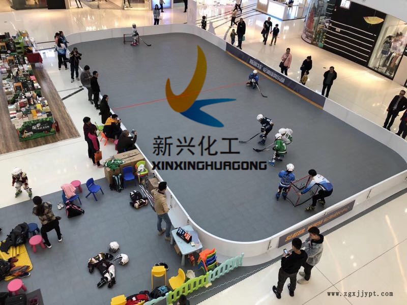 旱地冰球圍擋 旱地冰球圍擋