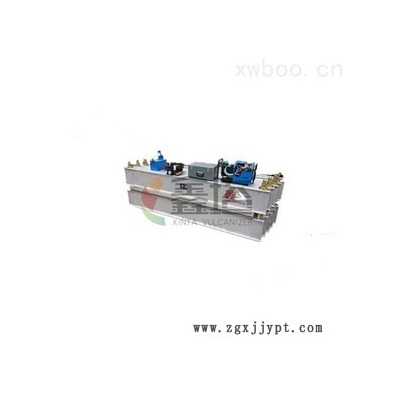 膠帶硫化機 XTLHJ-2000×830
